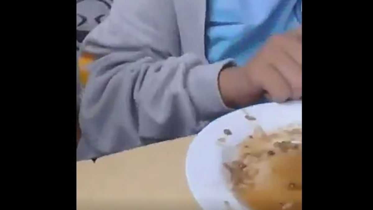 altText(En un comedor escolar porteño los chicos encontraron un caracol dentro de la comida)}