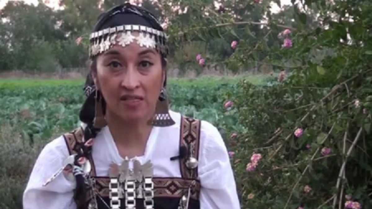 altText(Persecución a los mapuche: absolvieron a la dirigente originaria Moira Millán)}