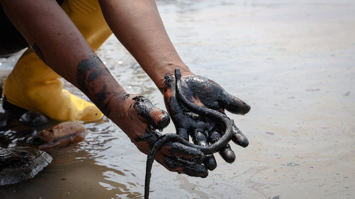 altText(Amazonas en peligro: alertan por el daño ambiental que causa el petróleo)}