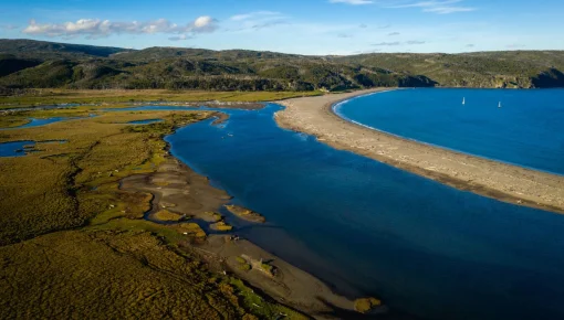 Pedido internacional para proteger Península Mitre, en Tierra del Fuego