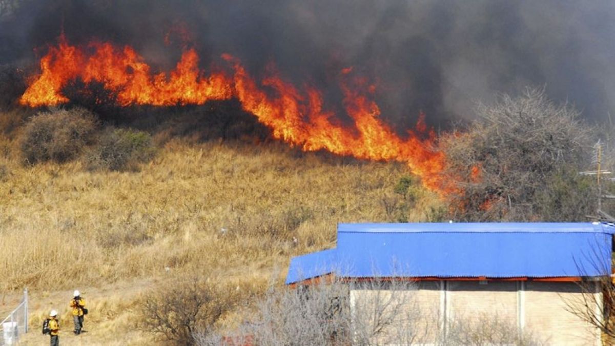 altText(Oficial: ocho incendios activos en Corrientes y otros seis en Misiones)}