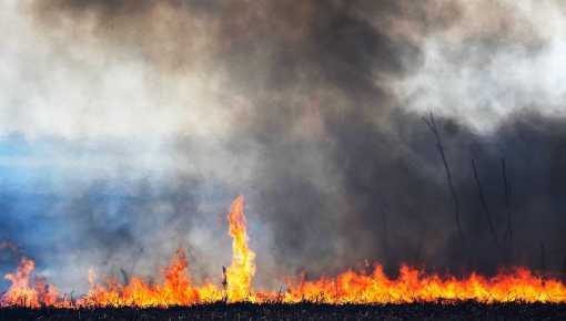 Instalaron nuevos puntos para combatir el fuego en islas del delta del Paraná