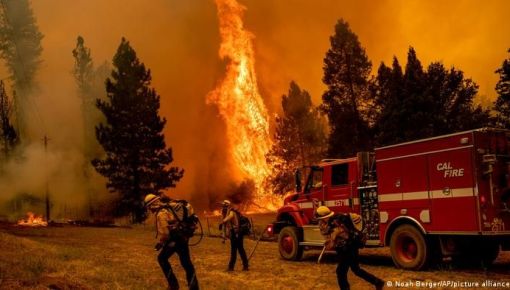 altText(Desastre ambiental en California: los incendios forestales están descontrolados)}