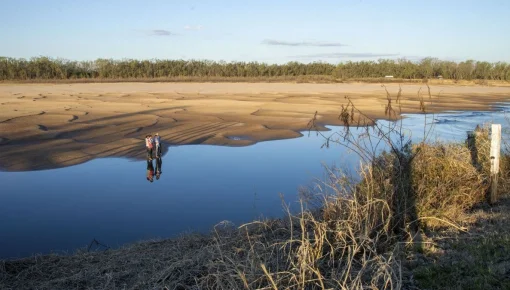 La humanidad destruyó más del 35% de los humedales en los últimos 50 años