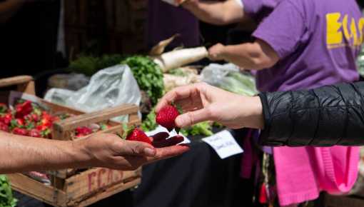 Harán un nuevo mercadazo para la apertura del Corredor Mesopotámico