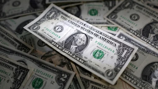 La dolarización de la economía argentina 