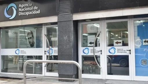 Presentaron un proyecto de declaración contra la disolución de ANDIS: &ldquo;Debilita la institucionalidad
