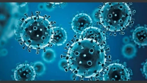 Alerta por Influenza H3N2: qué recomiendan los profesionales