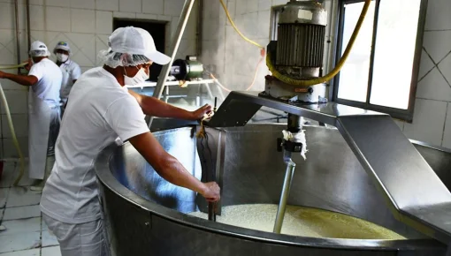 Las pymes lácteas en coma: 