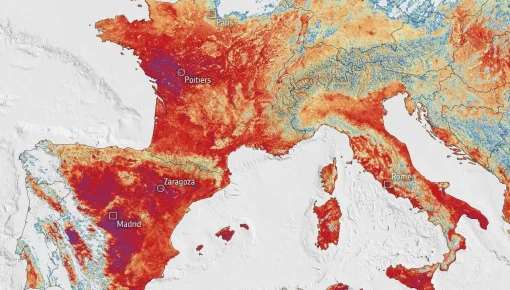 Un estudio señala que la brutal ola de calor en Europa es a causa del cambio climático