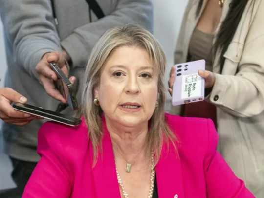 Monteoliva reconoció aumento de suicidios en las Fuerzas y mencionó las deudas
