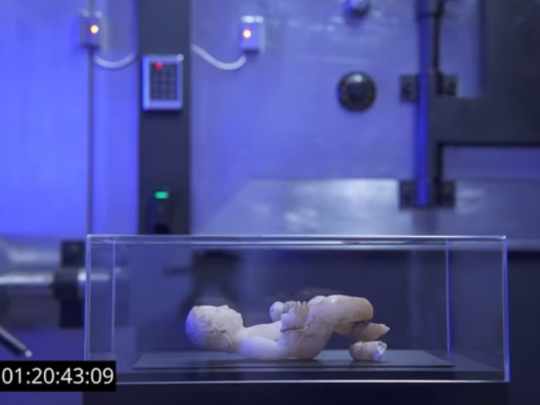 Una familia argentina guarda una escultura atribuida a Miguel Ángel que podría valer US$ 450 millones