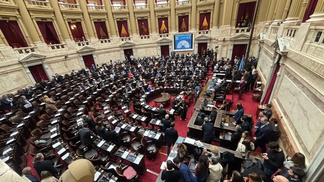 Quiénes son los diputados 